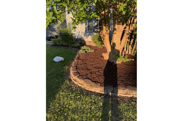 Felix Landscaping & Services